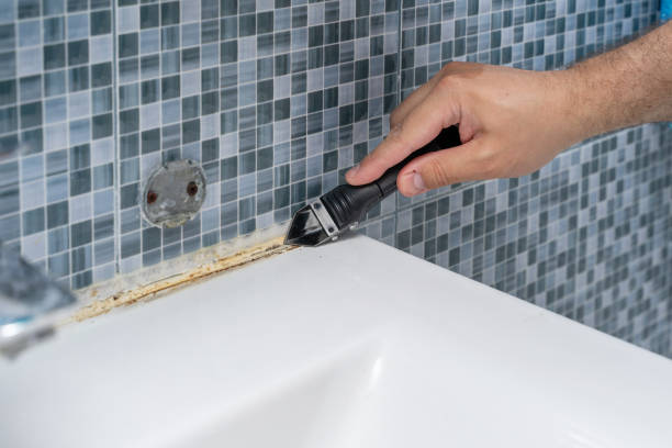 Best Mold Remediation for Specific Building Types in Eugene, OR
